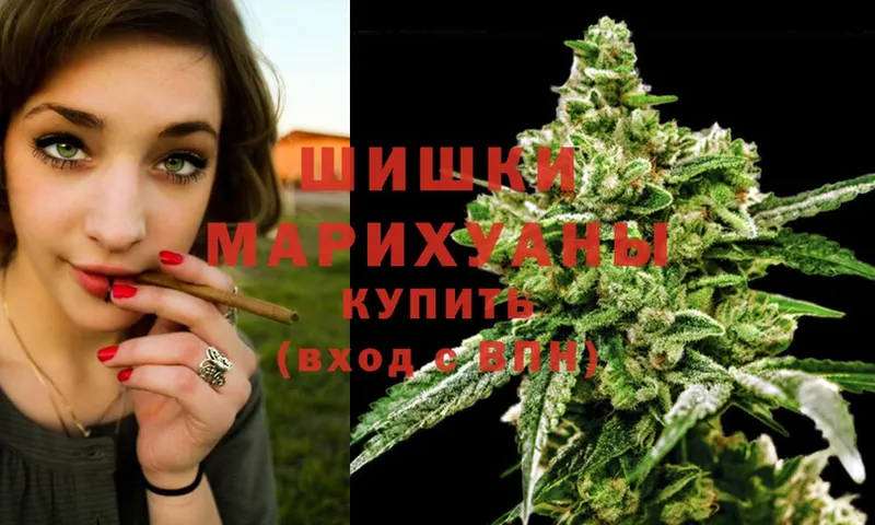 Где купить наркотики Каргополь МАРИХУАНА  A PVP  Гашиш  Мефедрон 