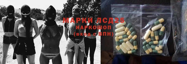 PSILOCYBIN Верхний Тагил