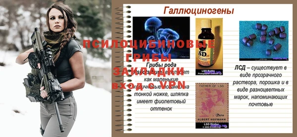 MESCALINE Долгопрудный